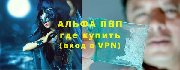 гидра Михайловск