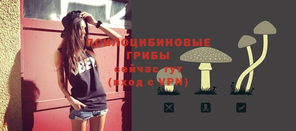 гидра Михайловск