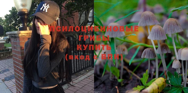 гидра Михайловск