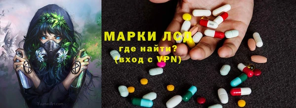 гидра Михайловск