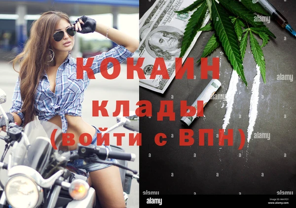 гашик Михайловка