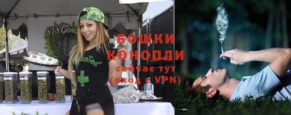 гашик Михайловка